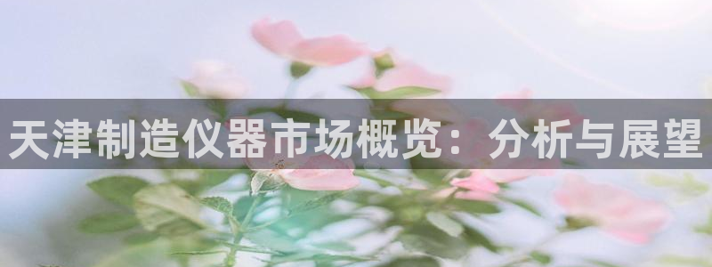 门徒娱乐官网登录入口登录不了：天津制造仪器市场概览：分析与展