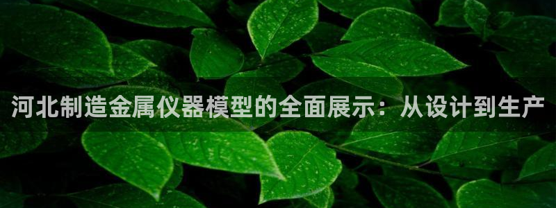 娱乐门徒王梓均简介图片：河北制造金属仪器模型的全面展示：从设
