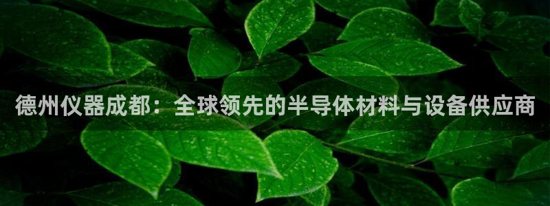 门徒娱乐正规吗：德州仪器成都：全球领先的半导体材料与设备供应