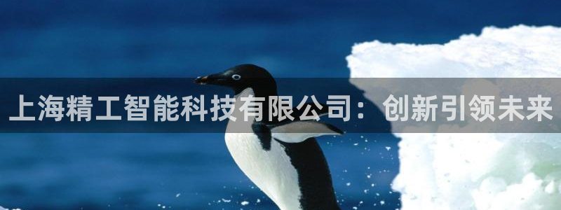 门徒娱乐怎么代理赚钱的：上海精工智能科技有限公司：创新引领未