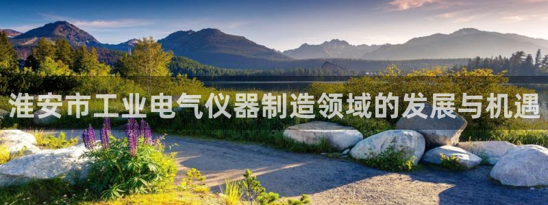 拉菲的门徒娱乐怎么样：淮安市工业电气仪器制造领域的发展与机遇