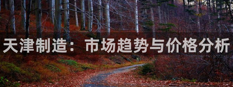 门徒娱乐官方网站地址：天津制造：市场趋势与价格分析