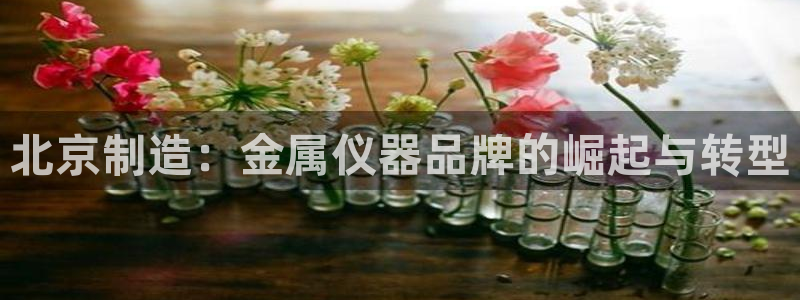 门徒娱乐真的能赚钱吗：北京制造：金属仪器品牌的崛起与转型