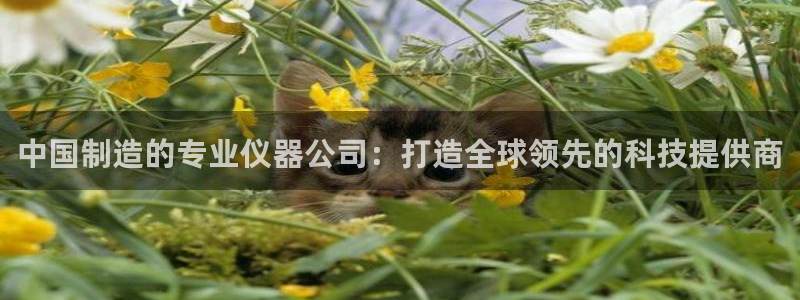 门徒娱乐在线登录官网：中国制造的专业仪器公司：打造全球领先的