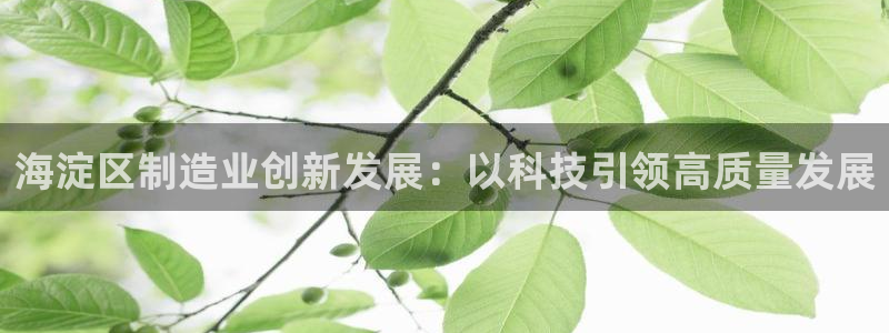 门徒娱乐联37997：海淀区制造业创新发展：以科技引领高质量