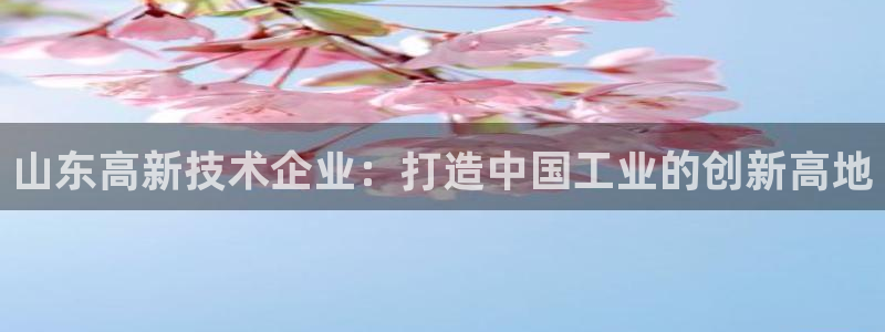 门徒娱乐公司介绍词：山东高新技术企业：打造中国工业的创新高地