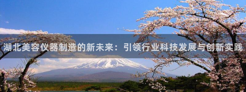 门徒娱乐秀大结局：湖北美容仪器制造的新未来：引领行业科技发展