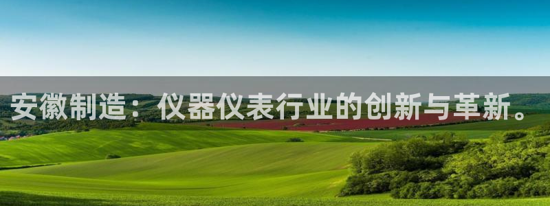 门徒娱乐是个什么软件呀：安徽制造：仪器仪表行业的创新与革新。