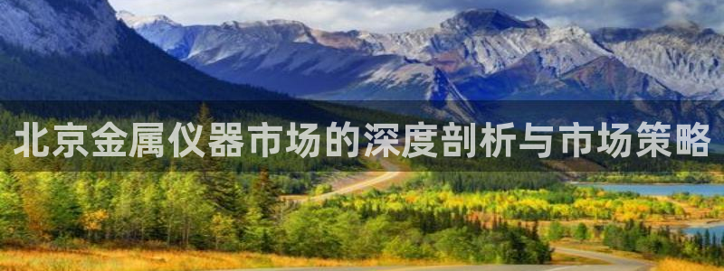 门徒娱乐跑路了吗：北京金属仪器市场的深度剖析与市场策略