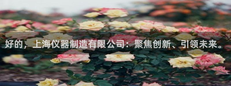 门徒娱乐区究7276O：好的，上海仪器制造有限公司：聚焦创新