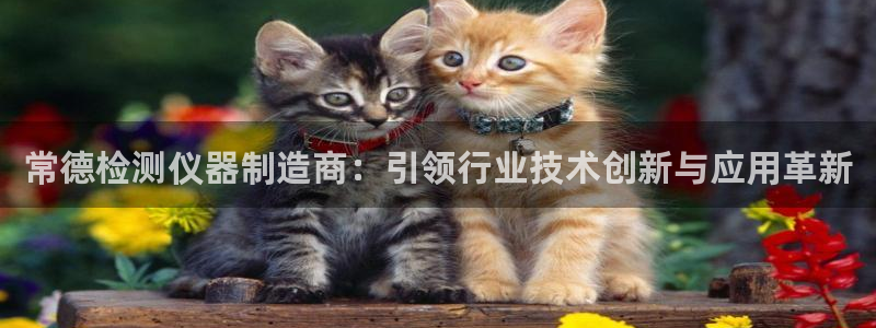 门徒搜狐娱乐在线：常德检测仪器制造商：引领行业技术创新与应用