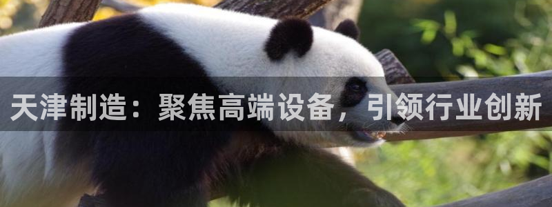 门徒娱乐盈利方法有哪些：天津制造：聚焦高端设备，引领行业创新