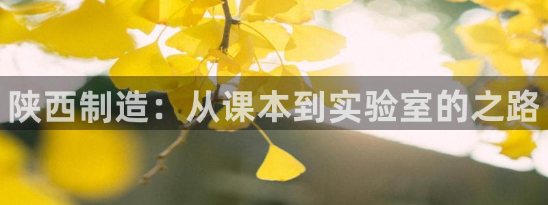 娱乐门徒未删减：陕西制造：从课本到实验室的之路