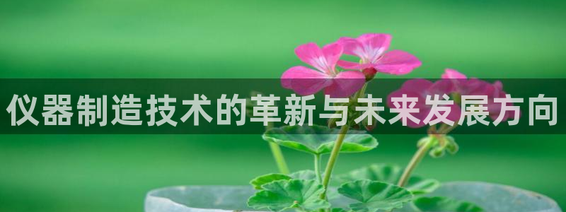 门徒娱乐反水：仪器制造技术的革新与未来发展方向