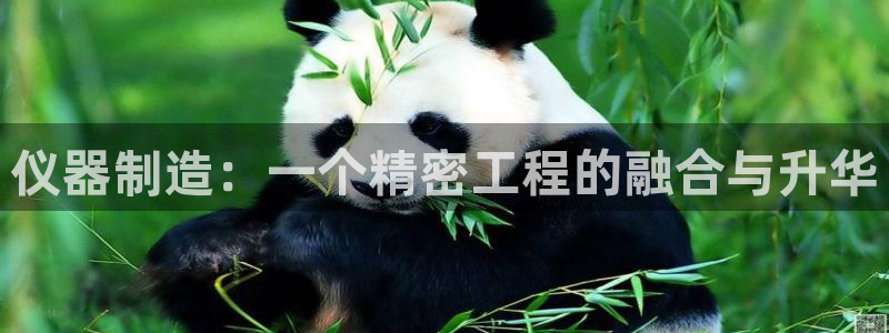 门徒娱乐怎么登录不了：仪器制造：一个精密工程的融合与升华