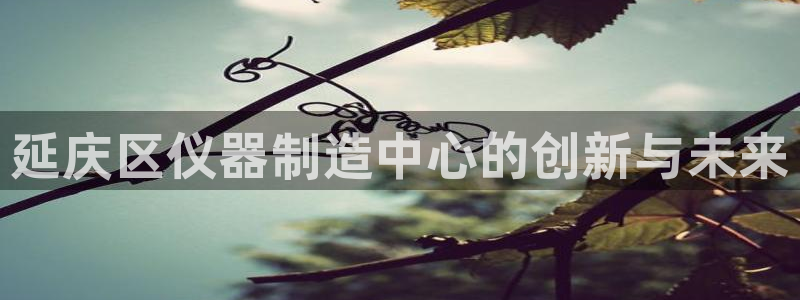 娱乐门徒 小说推荐：延庆区仪器制造中心的创新与未来