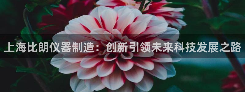 娱乐门徒电影推荐：上海比朗仪器制造：创新引领未来科技发展之路