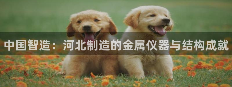 门徒南瓜show娱乐：中国智造：河北制造的金属仪器与结构成就