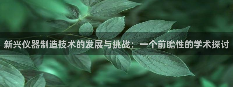 门徒娱乐登陆网站打不开：新兴仪器制造技术的发展与挑战：一个前