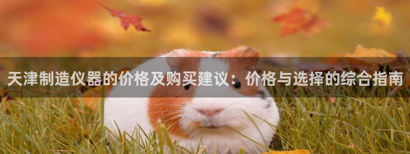 门徒娱乐做什么的：天津制造仪器的价格及购买建议：价格与选择的