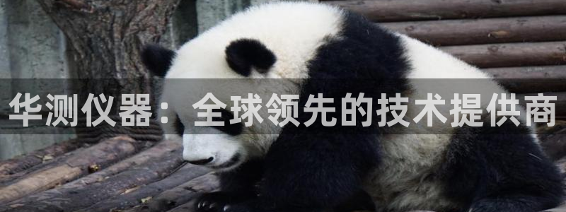 举报门徒娱乐赌博：华测仪器：全球领先的技术提供商