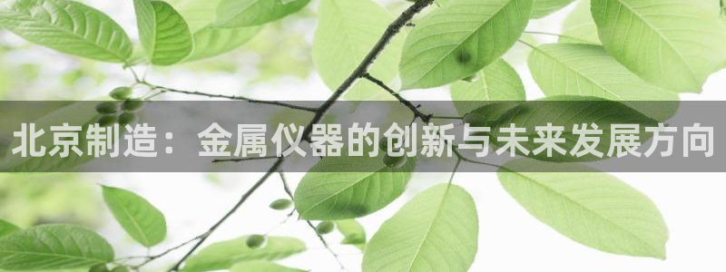 门徒娱乐平台真的假的啊：北京制造：金属仪器的创新与未来发展方