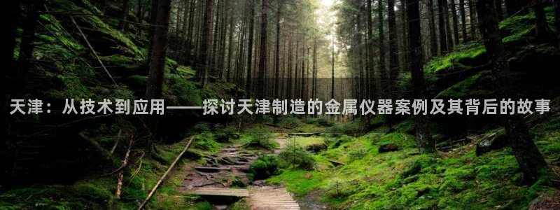 门徒娱乐官网登录：天津：从技术到应用——探讨天津制造的金属仪