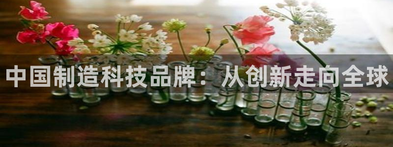 门徒娱乐下原把判官333OO：中国制造科技品牌：从创新走向全