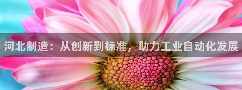 拉菲9门徒娱乐平台