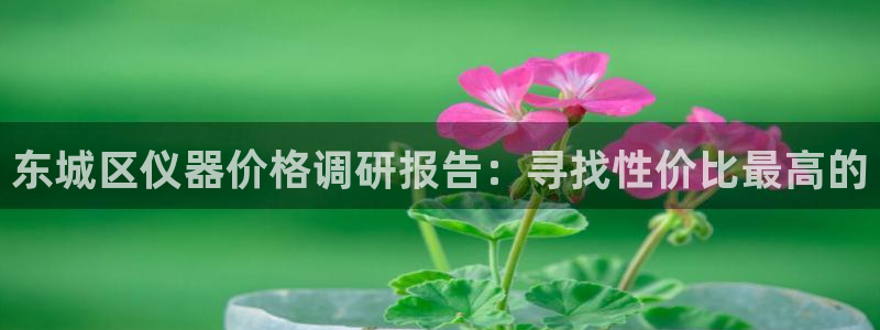 门徒娱乐官方地址下载