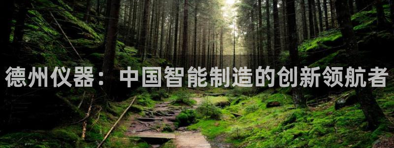 门徒娱乐主管注册：德州仪器：中国智能制造的创新领航者