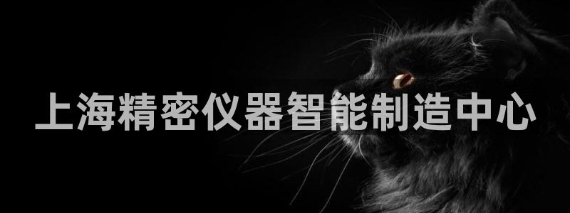 门徒娱乐主管下去判官333OO：上海精密仪器智能制造中心