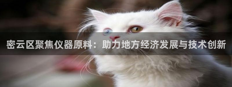 娱乐门徒完结了没有