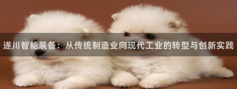 门徒娱乐招商会判官333OO：遂川智能装备：从传统制造业向现