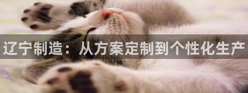 门徒娱乐-门徒平台：辽宁制造：从方案定制到个性化生产