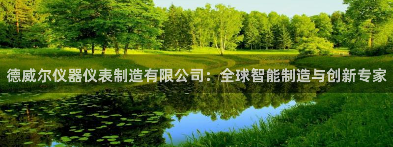 门徒娱乐登录地址在哪：德威尔仪器仪表制造有限公司：全球智能制