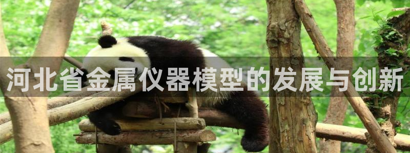 门徒娱乐软件下载：河北省金属仪器模型的发展与创新