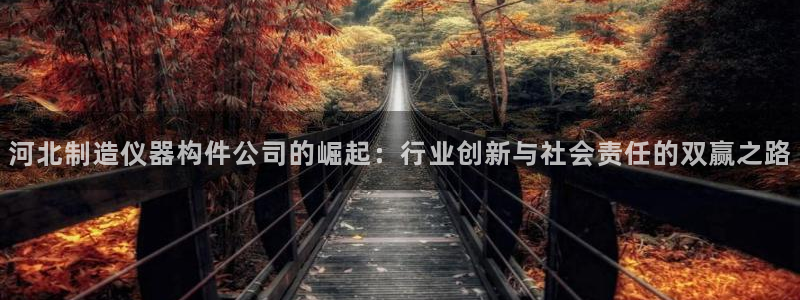 类似娱乐门徒类小说：河北制造仪器构件公司的崛起：行业创新与社