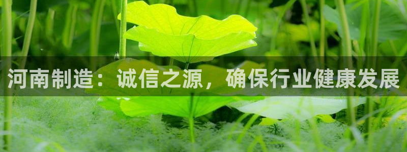门徒娱乐被黑：河南制造：诚信之源，确保行业健康发展