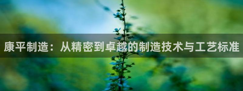 门徒娱乐网站在线观看