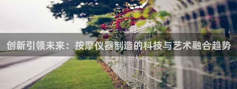门徒娱乐登录平台网址：创新引领未来：按摩仪器制造的科技与艺术