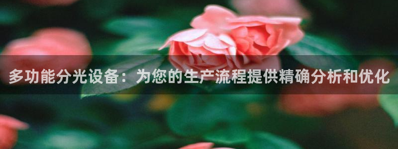 门徒娱乐咋样尼：多功能分光设备：为您的生产流程提供精确分析和