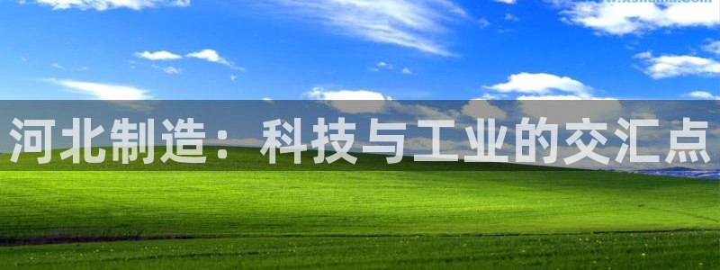 门徒娱乐老板是谁啊图片：河北制造：科技与工业的交汇点