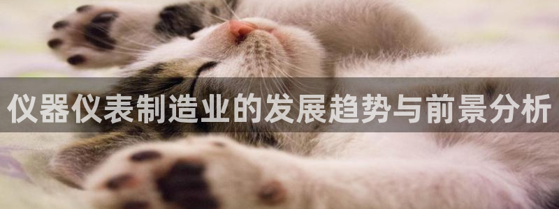 门徒娱乐筘494o3：仪器仪表制造业的发展趋势与前景分析
