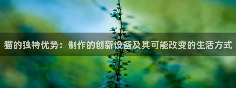 门徒彩票娱乐平台大代理：猫的独特优势：制作的创新设备及其可能