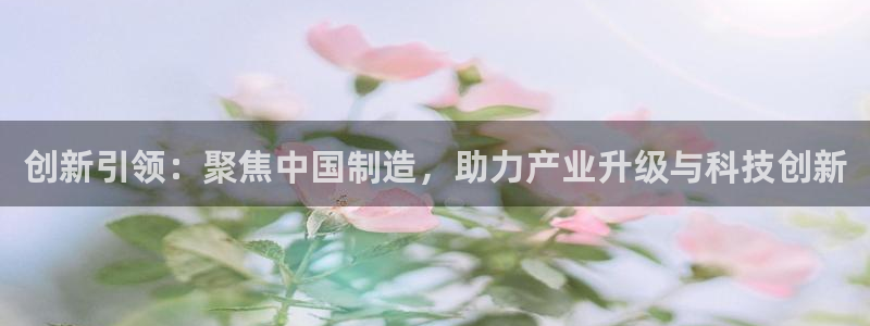 门徒娱乐乙833_43：创新引领：聚焦中国制造，助力产业升级