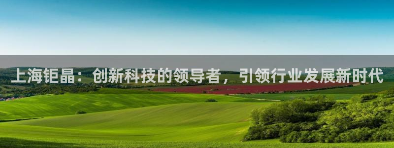 门徒娱乐挂机软件：上海钜晶：创新科技的领导者，引领行业发展新