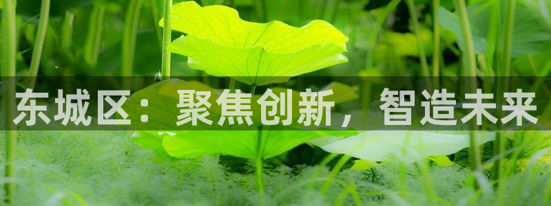 门徒娱乐开奖平台直播：东城区：聚焦创新，智造未来