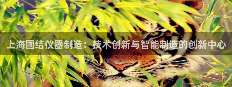 门徒娱乐有人被黑吗知乎：上海团结仪器制造：技术创新与智能制造