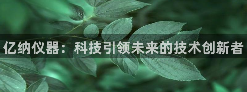 门徒娱乐线路图片大全：亿纳仪器：科技引领未来的技术创新者